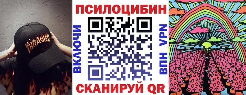 OMG   Смоленск  Галлюциногенные грибы Cubensis 